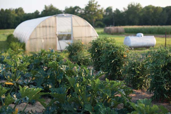Rocking-P-Ranch-SELECTS_WB-(15-of-28)_GreenHouse