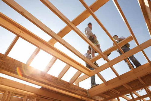 BusProf_KentBentlage_roof