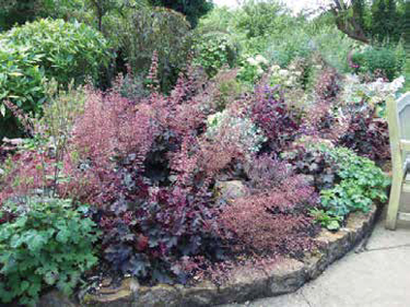 DB_Descending-Height